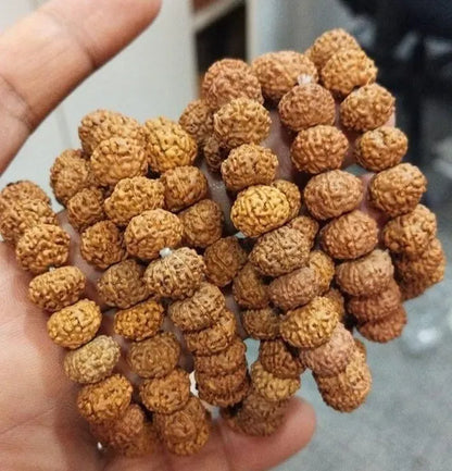 7 Mukhi Rudraksha Bead Bracelet – Natural Rudraksha Stretch Bracelet for Men & Women