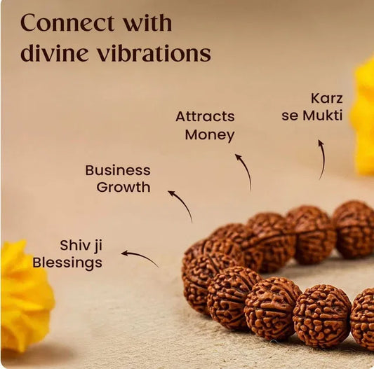 7 Mukhi Rudraksha Bead Bracelet – Natural Rudraksha Stretch Bracelet for Men & Women